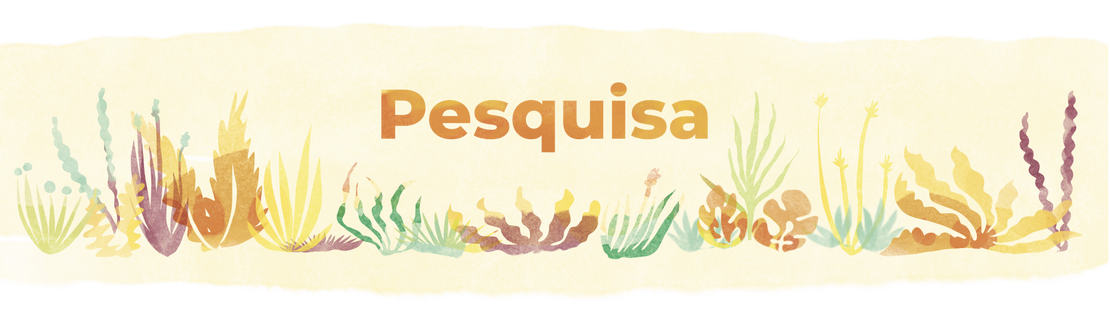 Pesquisa